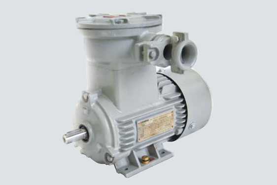 1MB0061隔爆型三相異步電動機(BT4)